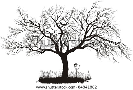 Apple Tree Sketch