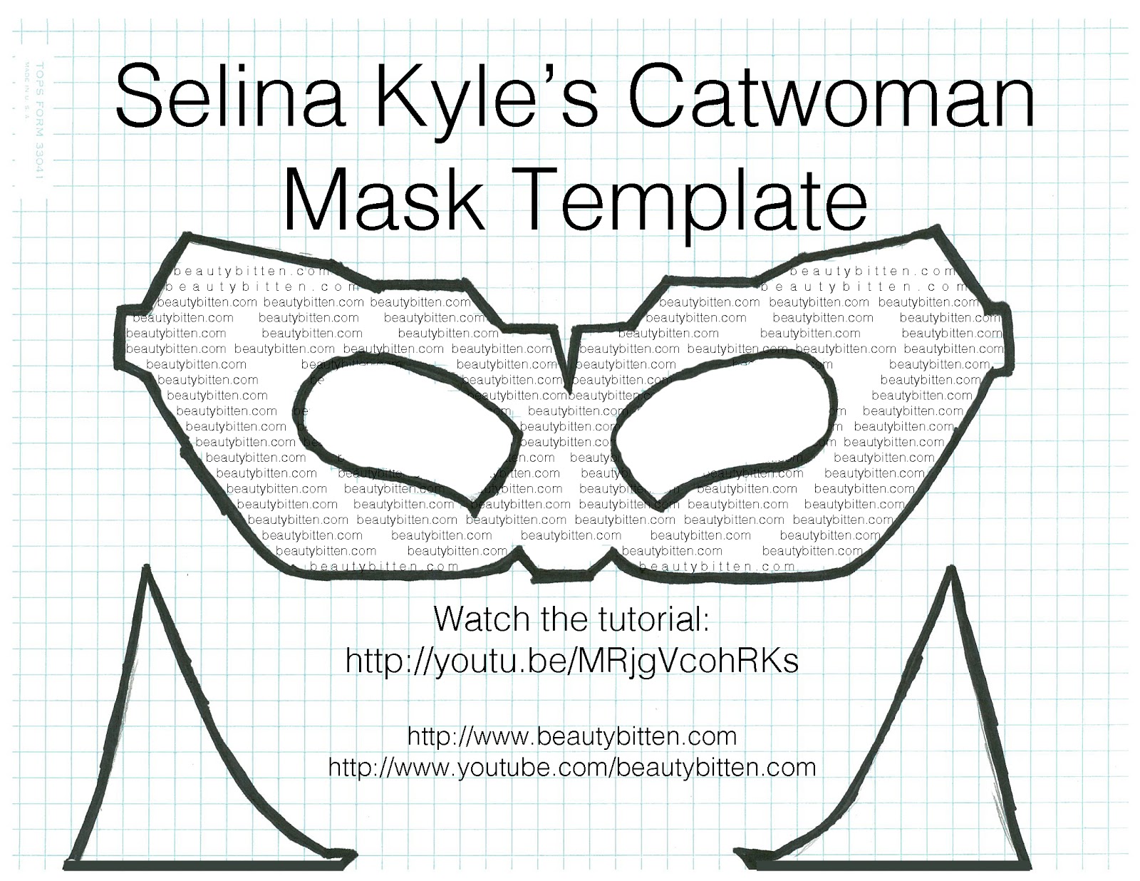 Catwoman Costume Dark Knight Rises Halloween