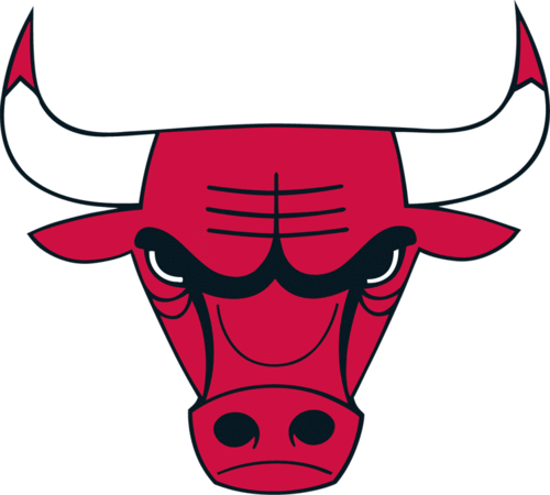 Chicago Bulls Logo Upside Down