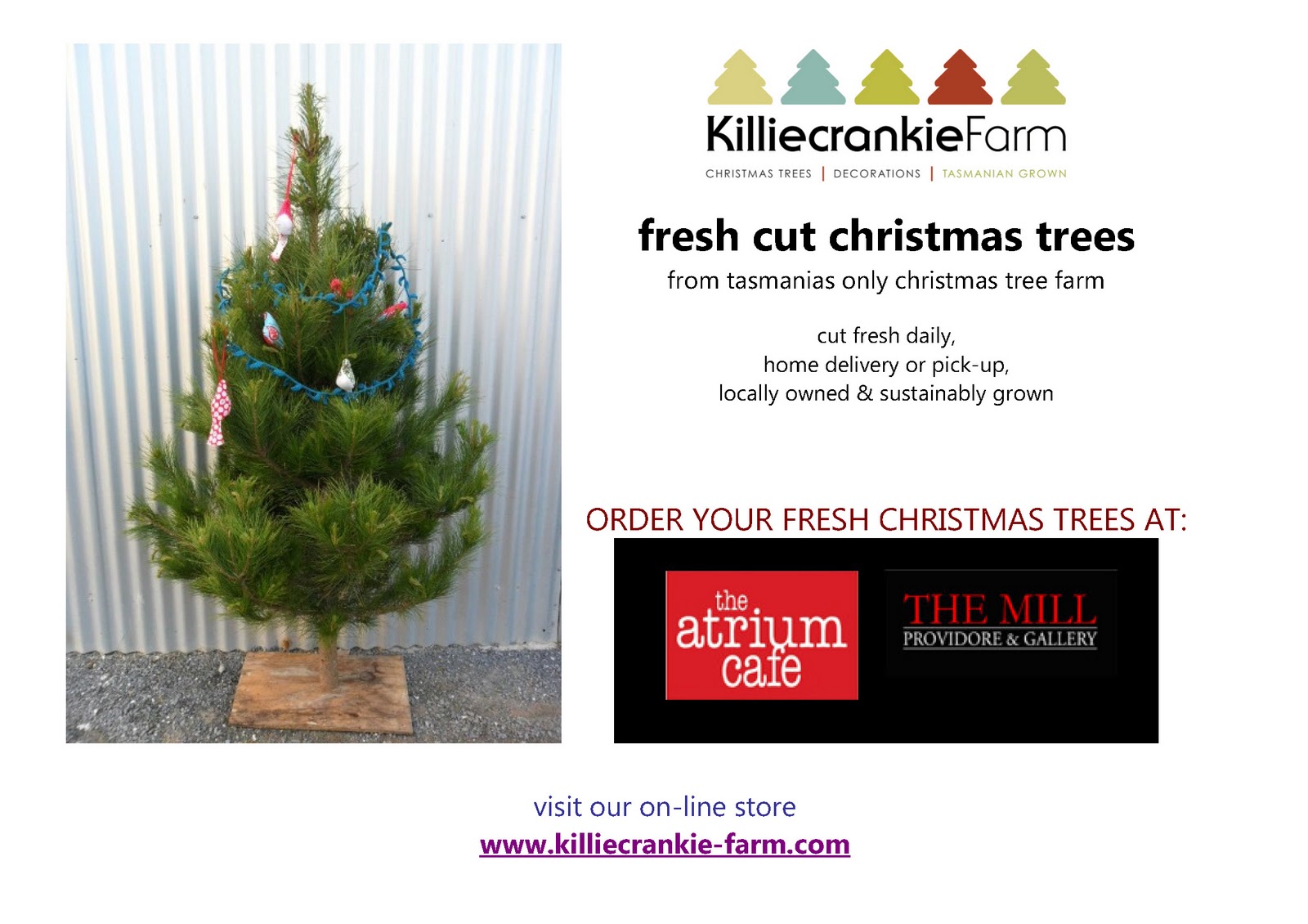Christmas Tree Shop Flyer Ct