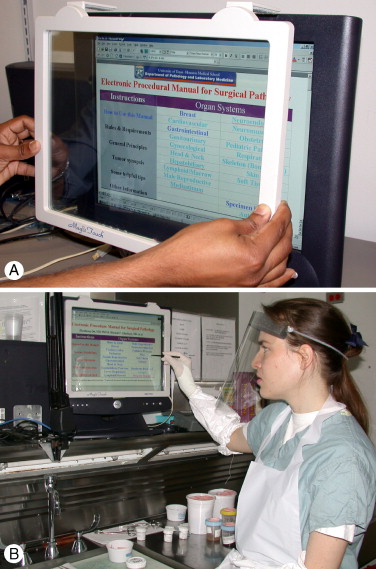 Computer Monitor Screen Size Comparison