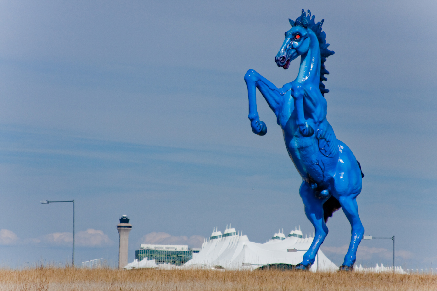 Denver Airport Horse Wiki