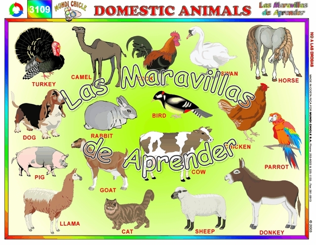 Domestic Animals Pictures With Names