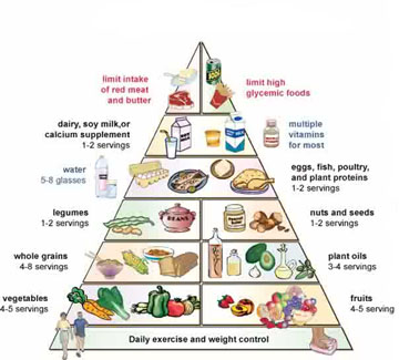 Food Pyramid Australia