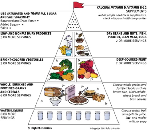 Food Pyramid Guide For Diabetes