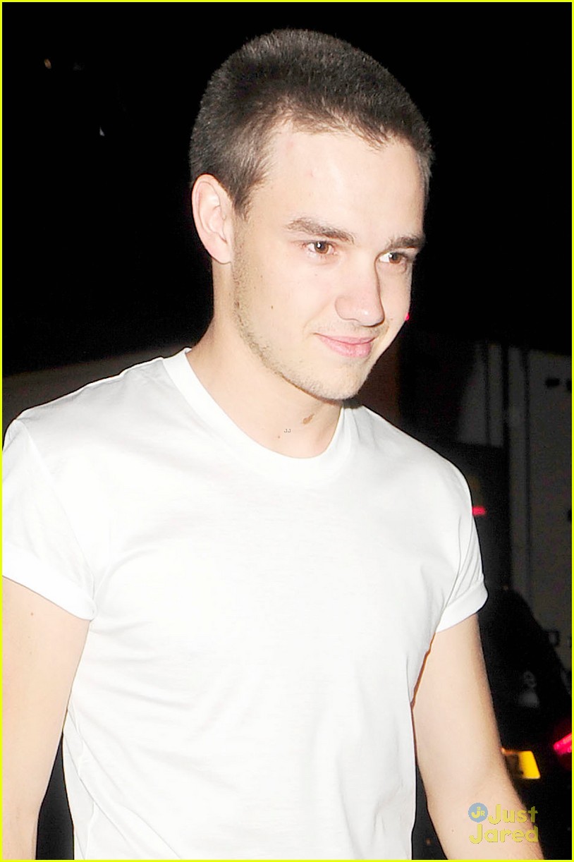 Liam One Direction Hair