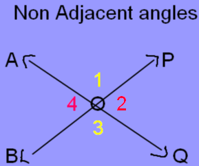 Non Adjacent Angles