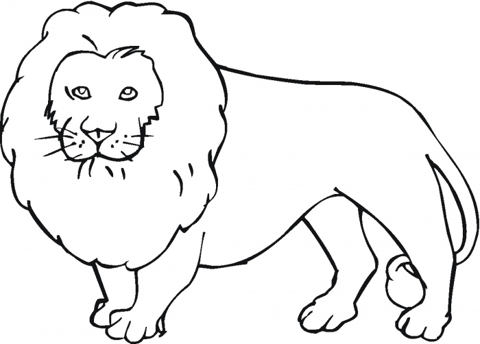 Pictures Of Animals To Colour In For Kids