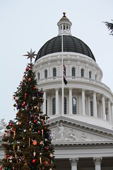 Sacramento Capitol Christmas Tree 2012