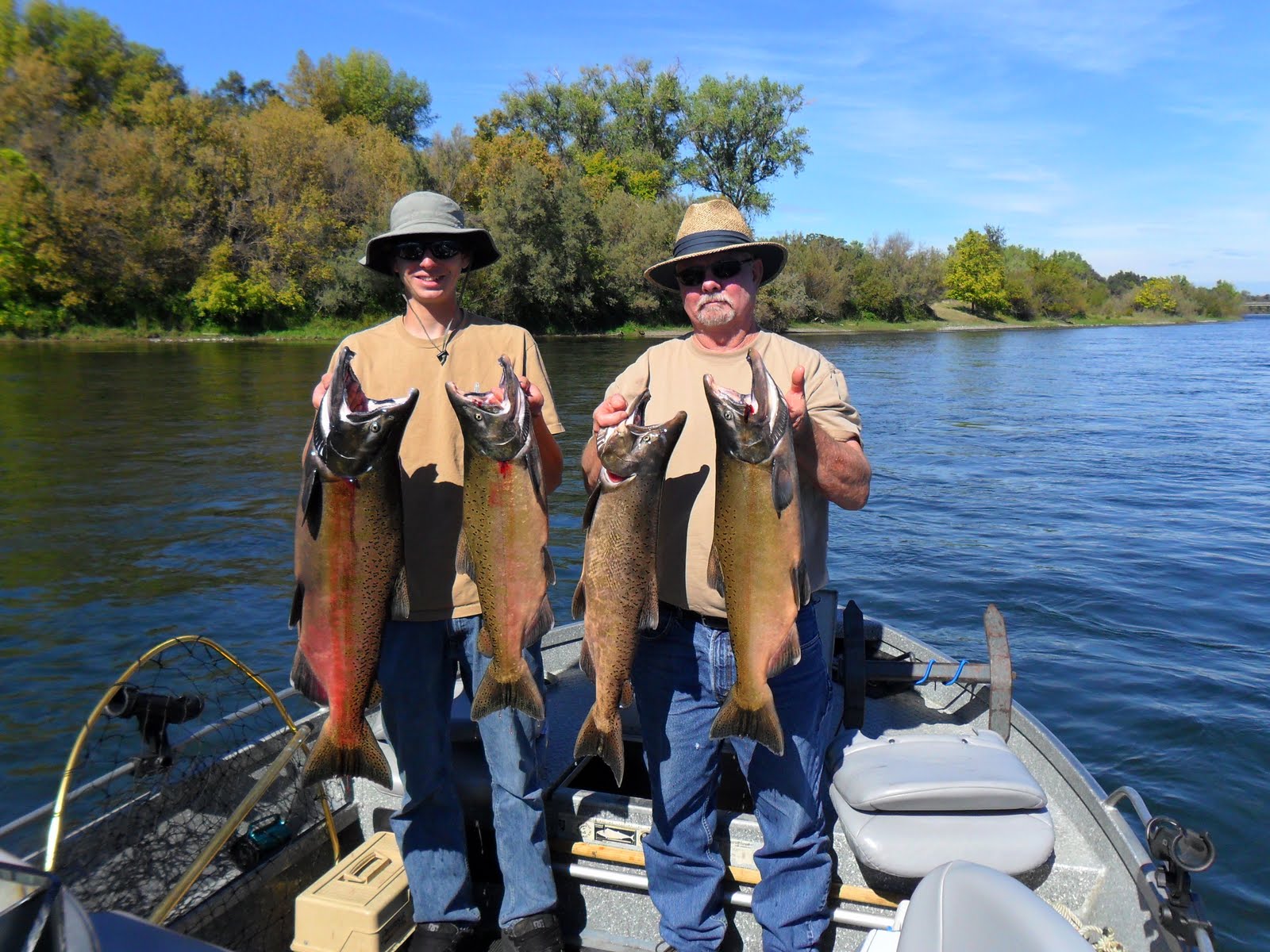 Sacramento River Fishing Report Salmon