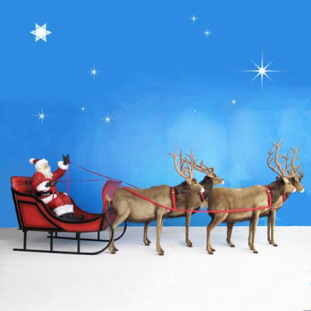 Santa Sleigh And Reindeer Decoration