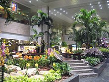Singapore Changi Airport Terminal 2 Shops